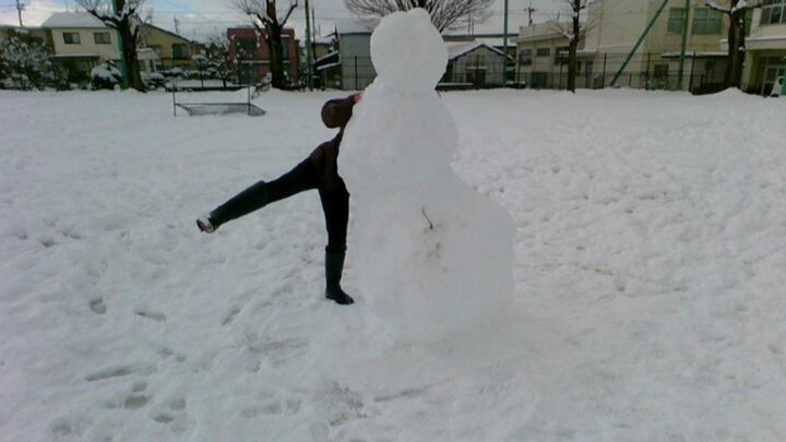 雪とじゃれあう先生