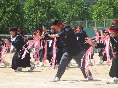 102244_06.jpg